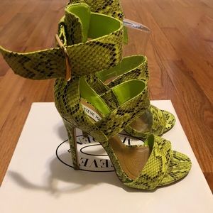 Steve Madden Mysterii